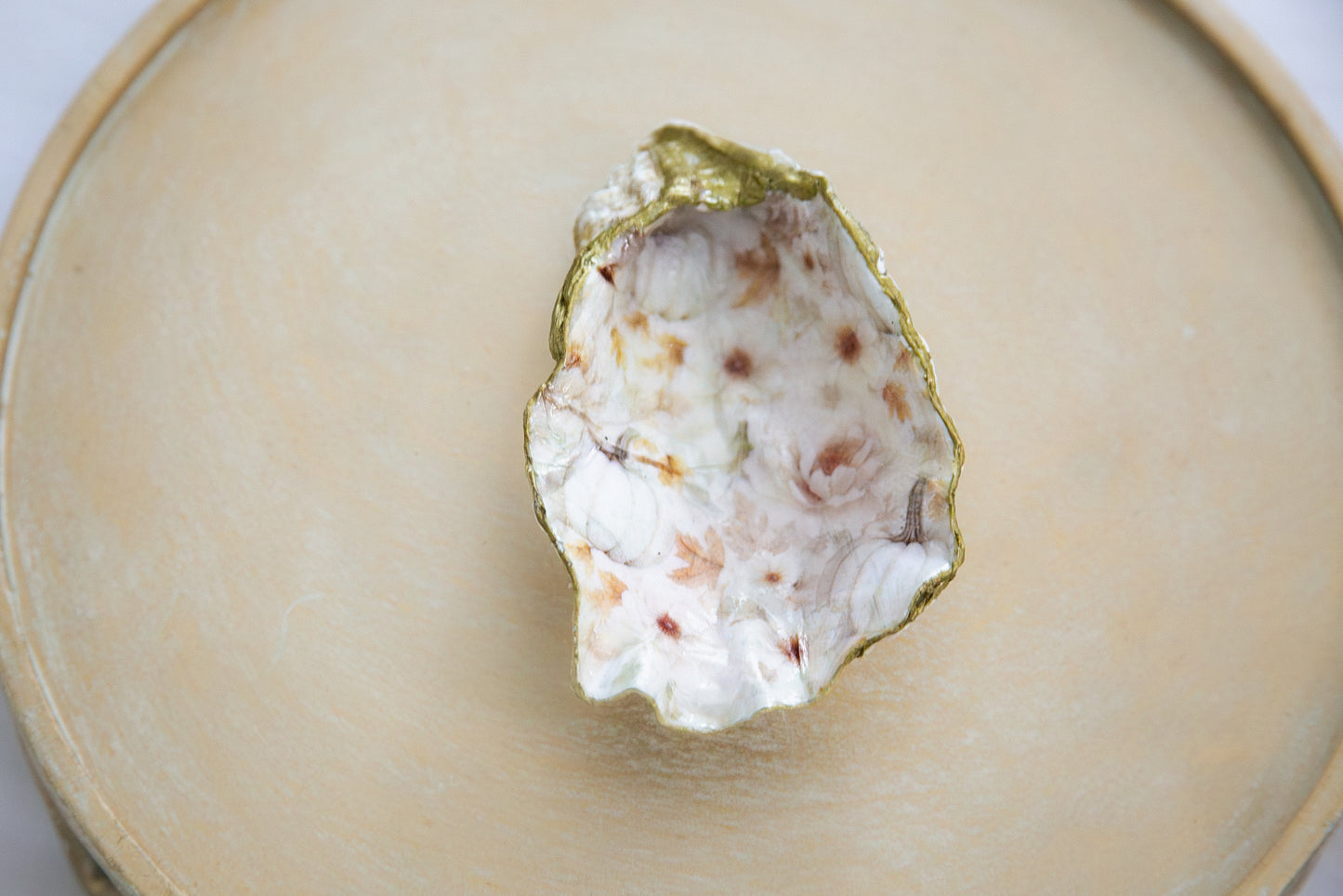 Oyster Shell Trinket Dish - White Pumpkin