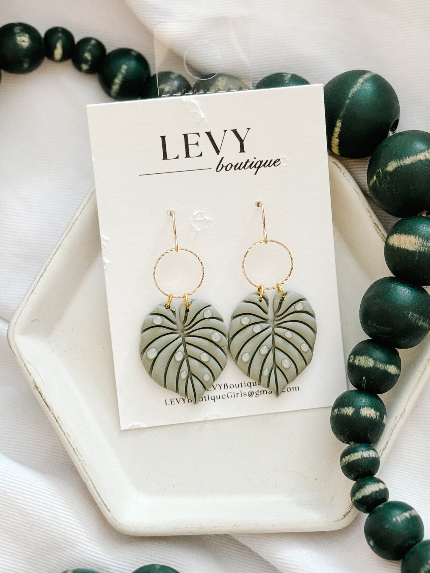 Philodendron, French Hook