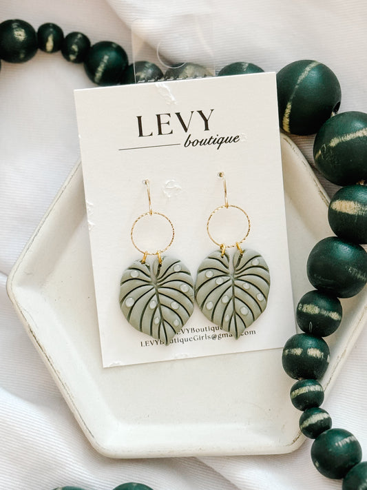 Philodendron, French Hook