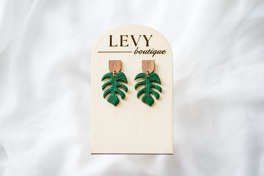 Monstera, Racing Green