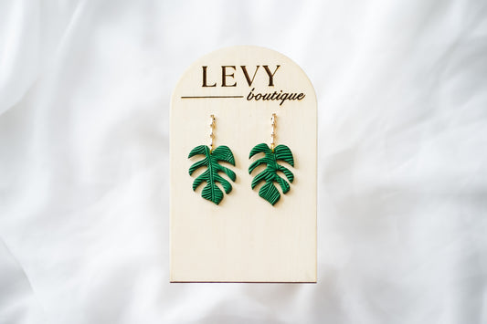 Monstera, Racing Green